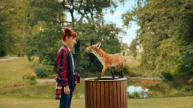 El colegio de los animales mágicos