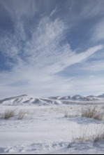 Wild Mongolia: tierra...: Supervivientes del desierto