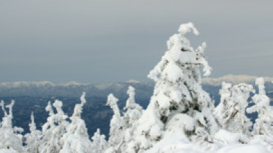 Japón, las cuatro...: Otoño e invierno