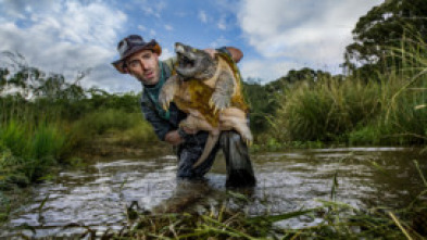 Coyote Peterson en lo...: La sombra del jaguar