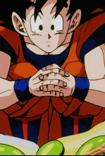 Dragon Ball Z (T5): Ep.13 ¡Un millón de veces más emocionante! ¡Se decide el campeón infantil!