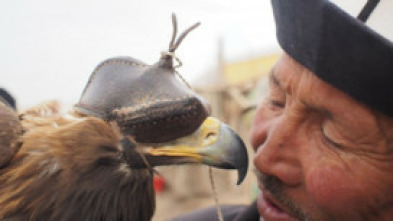 China: Tradición Cetrera