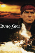 Búho gris