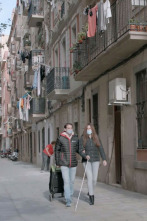 Gent de mercats: Amb històries de la gent dels mercats de la Barceloneta, de Mollet del Vallès i de Sant Sad...