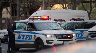 Crímenes en Nueva York: Misterio en Greenwich Village