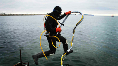 La pesca del oro: Curso intensivo