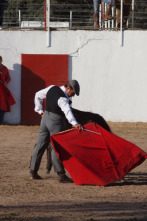 Tierra de toros