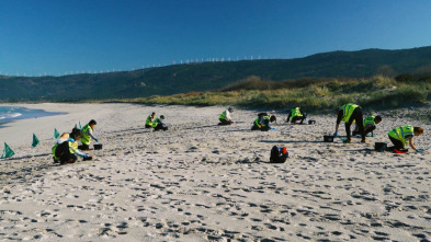 El escarabajo verde: Colosos del Atlántico