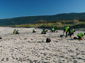 El escarabajo verde: Colosos del Atlántico