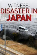 Testigos: la tragedia de Japón