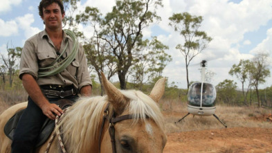 Un vaquero australiano: Un cocodrilo en el jardín