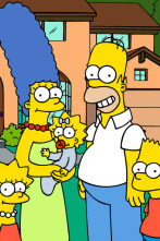 Los Simpson (T23)