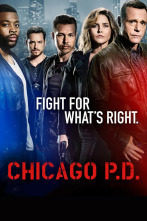 Chicago P.D. (T4): Ep.20 Aferrado a la salvación