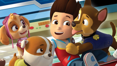 La Patrulla Canina (T2): La Patrulla salva a una familia de elefantes / La Patrulla y los gatitos traviesos