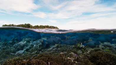 Planeta Azul II: Nuestro Planeta Azul