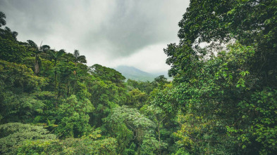 Vivir en territorio extremo 