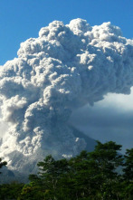 Volcán: destrucción y...: Un presente fértil