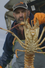 Cazadores de... (T3): La caza del oro rojo