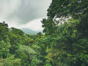 Vivir en territorio...: América Central