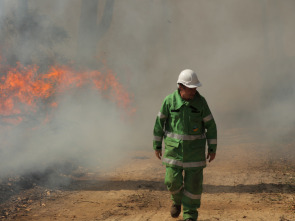 Clima salvaje con...: Temperatura: fuerza propulsora