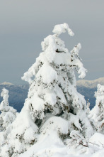 Japón, las cuatro...: Otoño e invierno