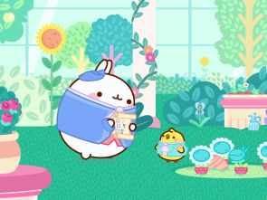 Molang (T5): El monstruo del bosque