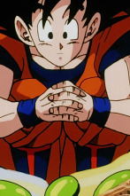 Dragon Ball Z (T5): Ep.13 ¡Un millón de veces más emocionante! ¡Se decide el campeón infantil!