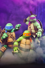 Las Tortugas Ninja (T2)