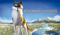 Colmillo blanco