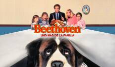 Beethoven, uno más de la familia