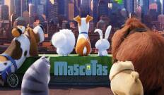 Mascotas