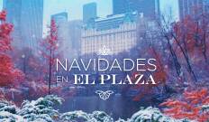 Navidades en el Plaza