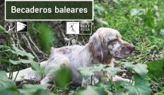 Becaderos Baleares