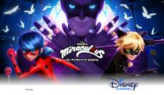 Las Aventuras de Ladybug. T(T5). Las Aventuras de Ladybug (T5)