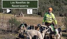 Los naveños de Navatrasierra