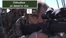 Chihuahua, un desierto vivo