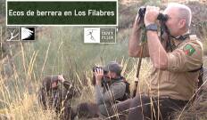 Ecos de berrea en Los Filabres