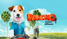 Pancho, el perro millonario