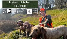 Batiendo jabalies en Coruxo