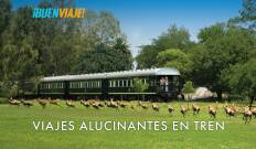 Viajes alucinantes en tren