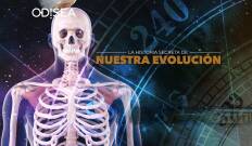 La historia secreta de nuestra evolución