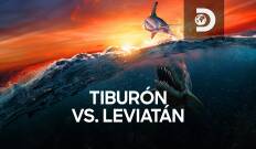 Tiburón vs. Leviatán