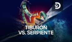 Tiburón vs. Serpiente