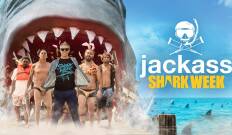 Jackass: Shark Week