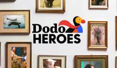 Dodo Heroes