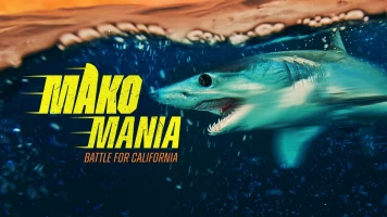 Mako manía: la batalla por California