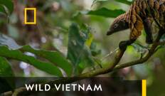 Wild Vietnam