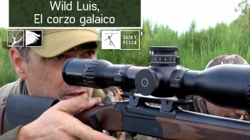 Wild Luis:  El Corzo Galaico