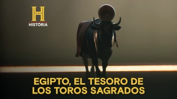 Egipto, el tesoro de los toros sagrados