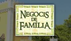 Negocis de família